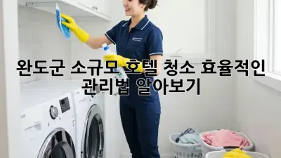 완도군 소규모 호텔 청소, 효율적인 관리법 알아보기