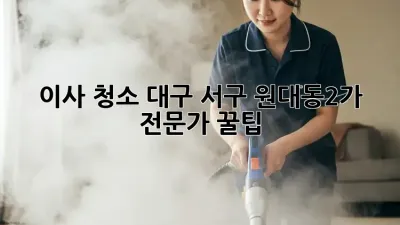 이사 청소: 대구 서구 원대동2가 전문가 꿀팁!